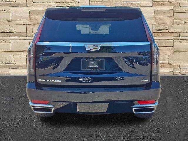 2023 Cadillac Escalade Vehicle Photo in DANBURY, CT 06810-5034