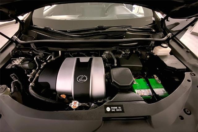 2020 Lexus RX 350 Vehicle Photo in Lees Summit, MO 64086