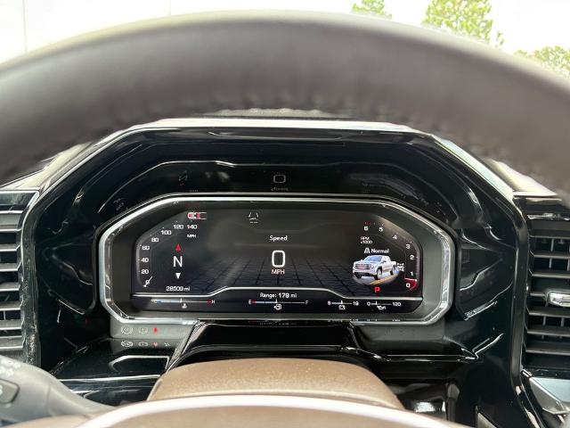 2025 GMC Sierra 1500 Vehicle Photo in Statesboro, GA 30458