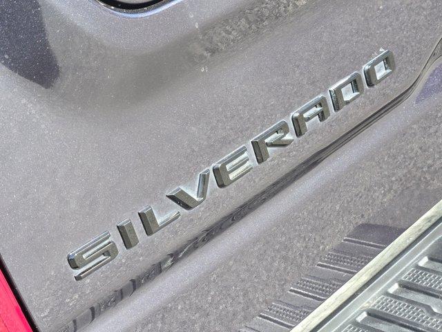 2023 Chevrolet Silverado 1500 Vehicle Photo in Decatur, TX 76234