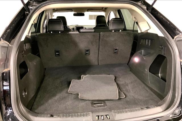 2024 Ford Edge Vehicle Photo in Lees Summit, MO 64086