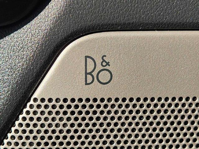 2021 Ford F-150 Vehicle Photo in DENTON, TX 76210-9321