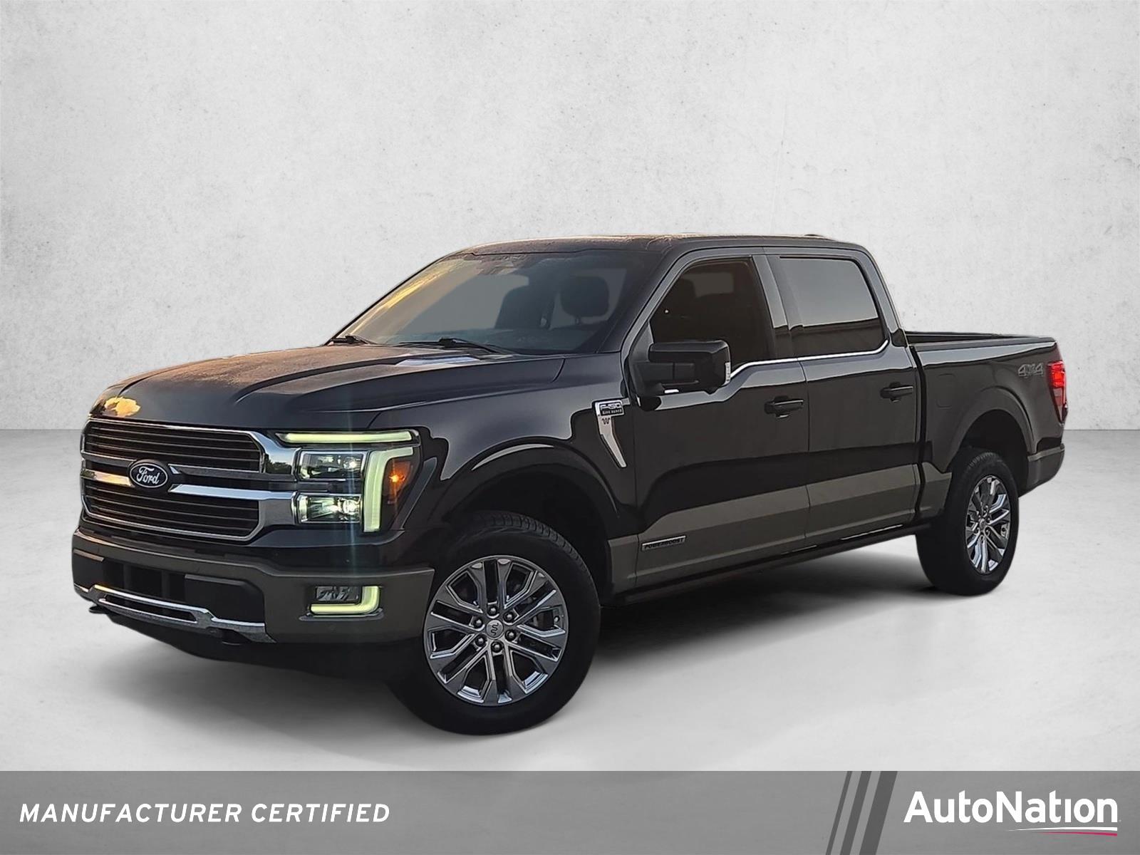 2025 Ford F-150 Vehicle Photo in St. Petersburg, FL 33713