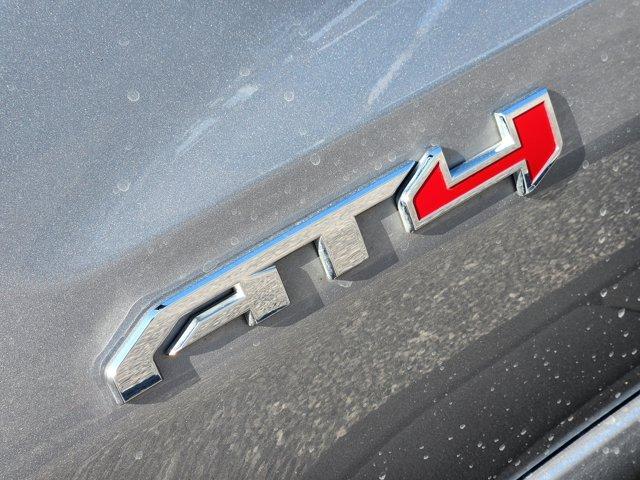 2024 GMC Sierra 1500 Vehicle Photo in Decatur, TX 76234