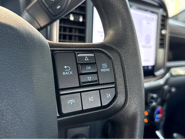 2025 Ford F-150 Vehicle Photo in Savannah, GA 31419