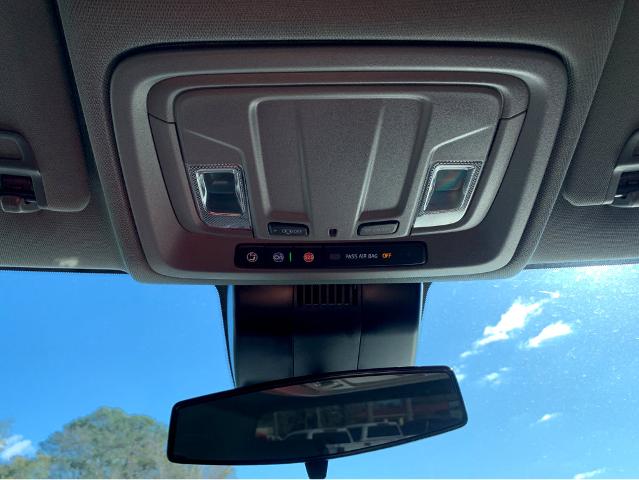 2025 Chevrolet Silverado 1500 Vehicle Photo in BEAUFORT, SC 29906-4218