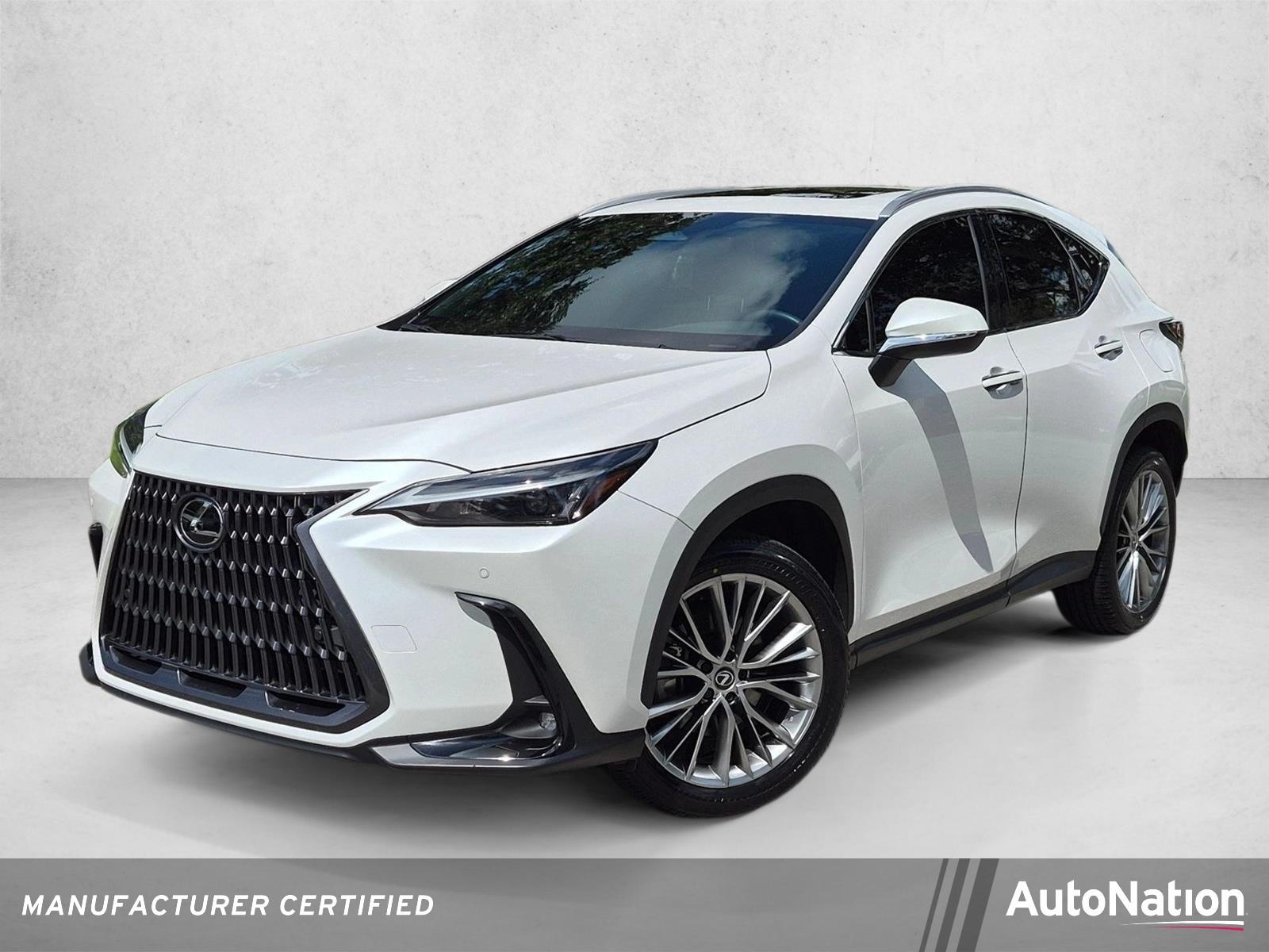 2025 Lexus NX 350 Vehicle Photo in West Palm Beach, FL 33417