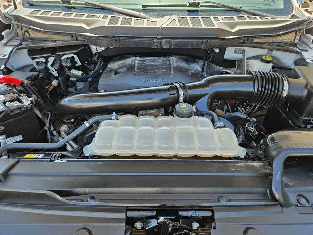 2023 Ford F-150 Vehicle Photo in San Antonio, TX 78209