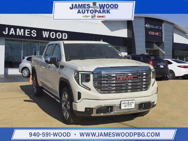 2025 GMC Sierra 1500 Vehicle Photo in Denton, TX 76205