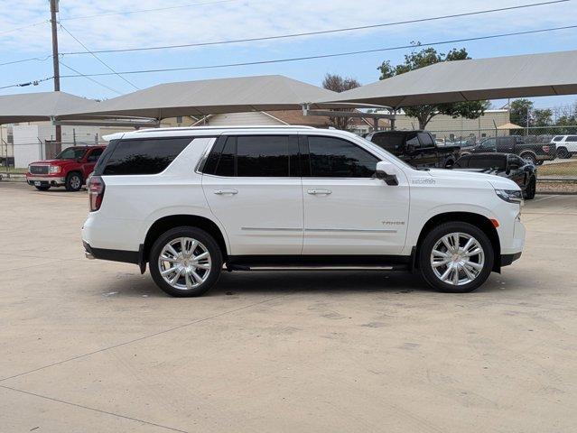 2024 Chevrolet Tahoe Vehicle Photo in SELMA, TX 78154-1459