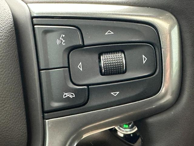 2024 Chevrolet Silverado 1500 Vehicle Photo in COLUMBIA, MO 65203-3903