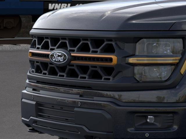2025 Ford F-150 Vehicle Photo in Weatherford, TX 76087