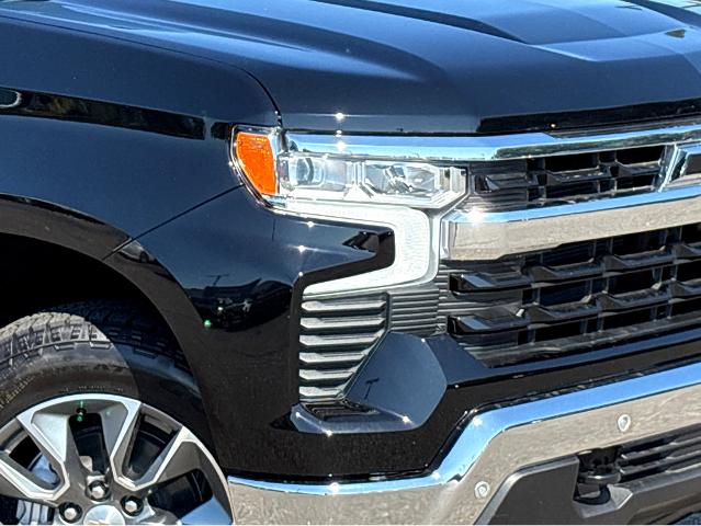 2026 Chevrolet Silverado 1500 Vehicle Photo in BEAUFORT, SC 29906-4218