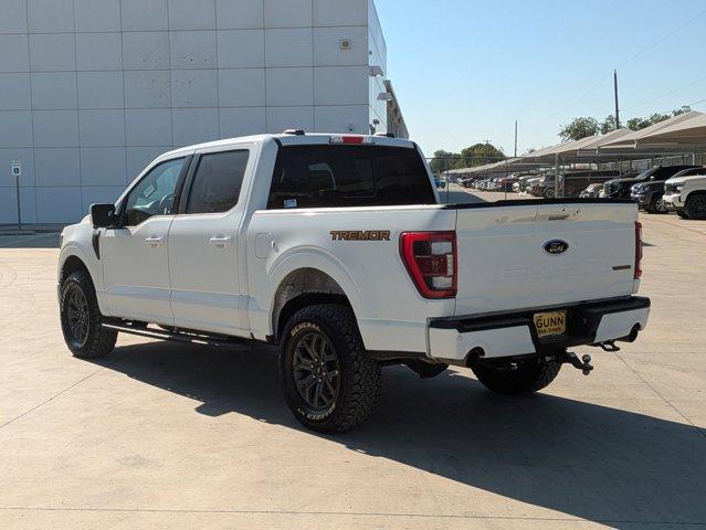 2023 Ford F-150 Vehicle Photo in SELMA, TX 78154-1459