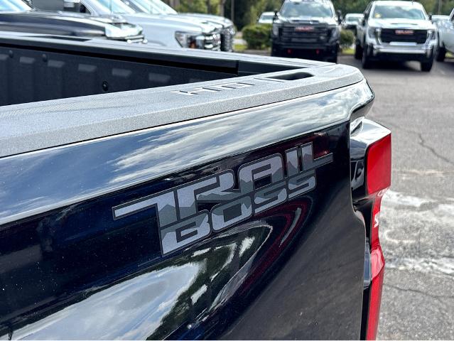 2025 Chevrolet Silverado 2500 HD Vehicle Photo in BEAUFORT, SC 29906-4218