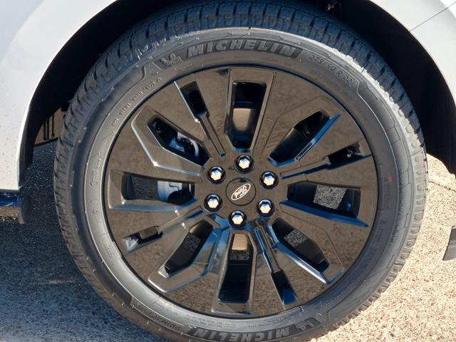 2025 Ford Expedition Vehicle Photo in Weatherford, TX 76087