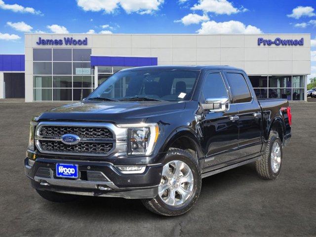 2023 Ford F-150 Vehicle Photo in Decatur, TX 76234