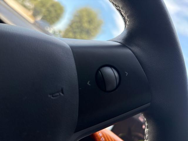 2023 Tesla Model 3 Vehicle Photo in Statesboro, GA 30458