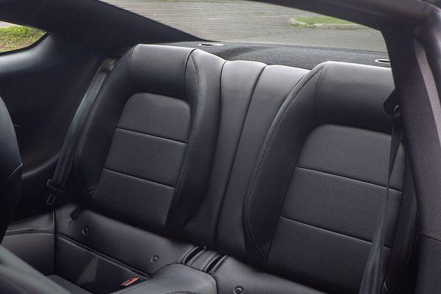 2019 Ford Mustang Vehicle Photo in DANBURY, CT 06810-5034