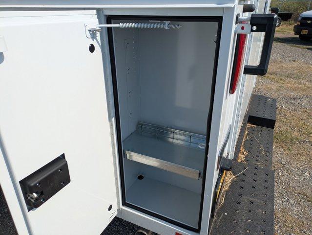 2024 Chevrolet Express Commercial Cutaway Vehicle Photo in SELMA, TX 78154-1460
