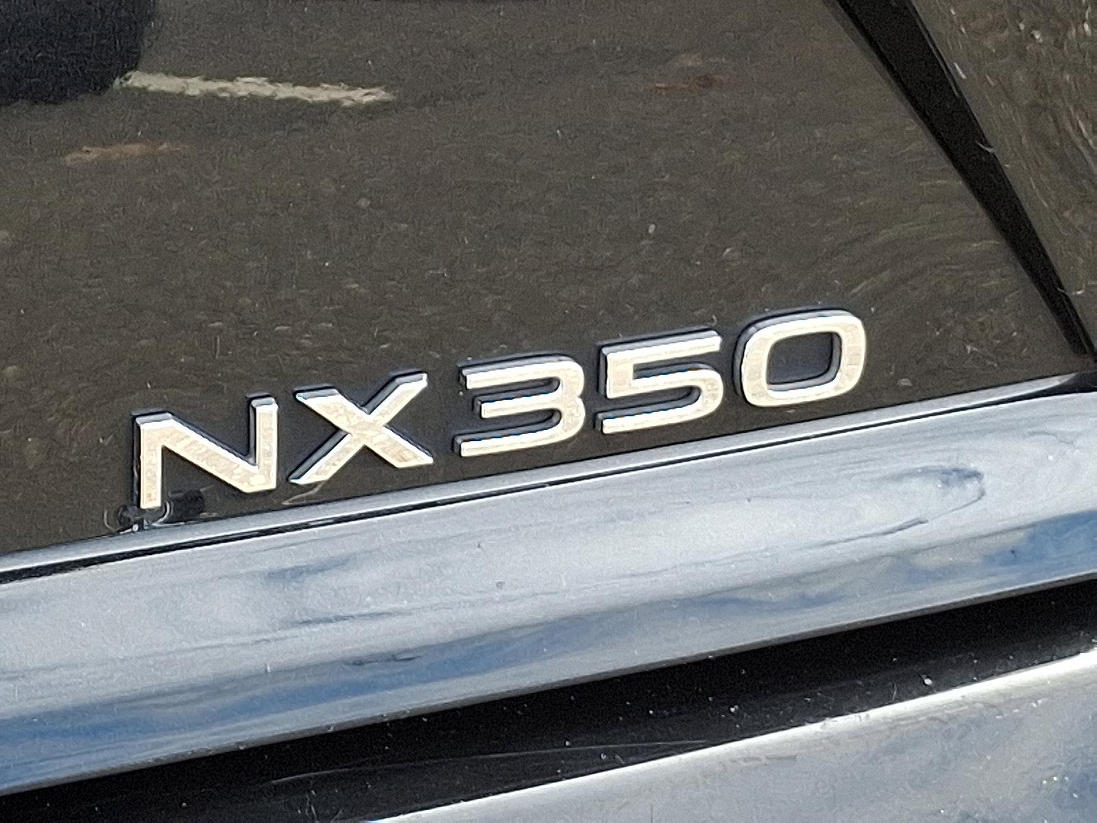 2022 Lexus NX 350 Vehicle Photo in Trevose, PA 19053