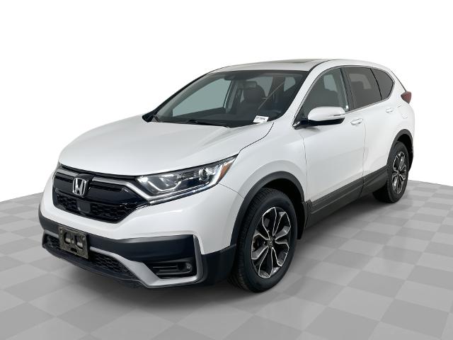 2020 Honda CR-V Vehicle Photo in GILBERT, AZ 85297-0402