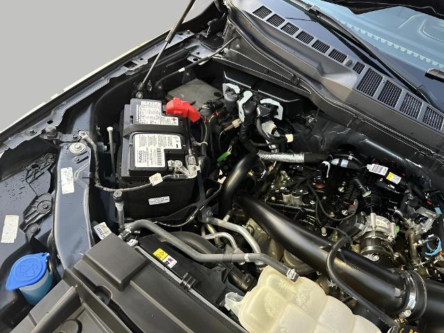 2023 Ford F-150 Vehicle Photo in MANITOWOC, WI 54220-5838