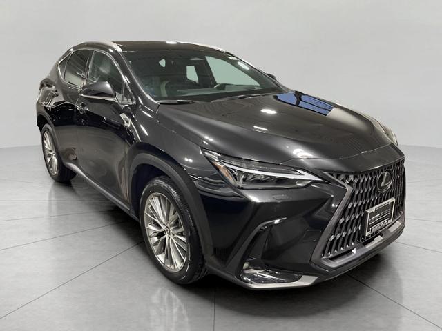 2024 Lexus NX 350 Vehicle Photo in Neenah, WI 54956