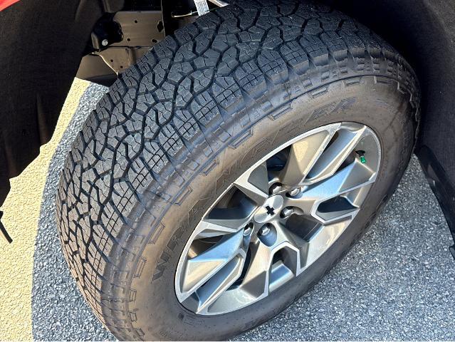 2026 Chevrolet Silverado 1500 Vehicle Photo in BEAUFORT, SC 29906-4218