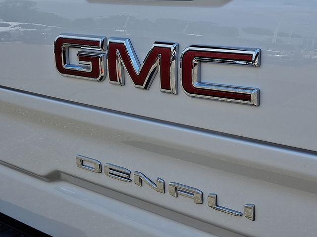 2024 GMC Sierra 1500 Vehicle Photo in DANBURY, CT 06810-5034