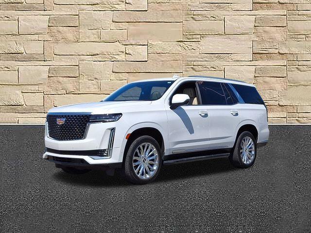 2023 Cadillac Escalade Vehicle Photo in DANBURY, CT 06810-5034