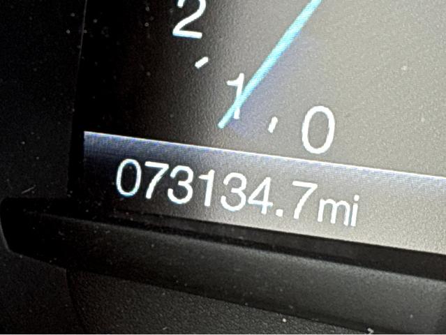 2022 Ford Edge Vehicle Photo in BEAUFORT, SC 29906-4218