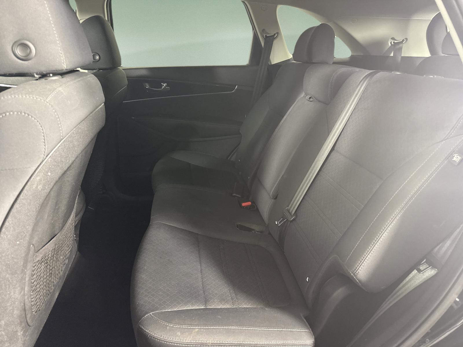 2019 Kia Sorento Vehicle Photo in Georgetown, TX 78626