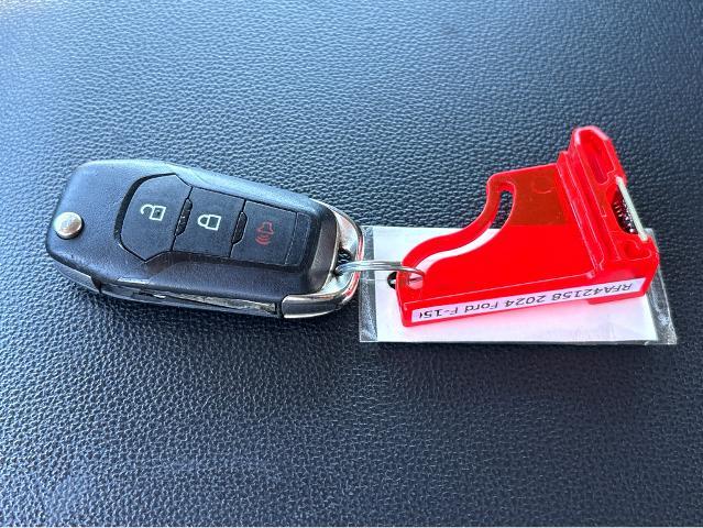 2024 Ford F-150 Vehicle Photo in BEAUFORT, SC 29906-4218