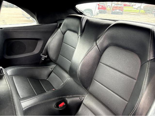 2022 Ford Mustang Vehicle Photo in BEAUFORT, SC 29906-4218