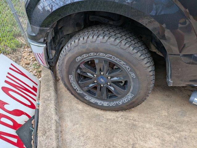 2019 Ford F-150 Vehicle Photo in SELMA, TX 78154-1459