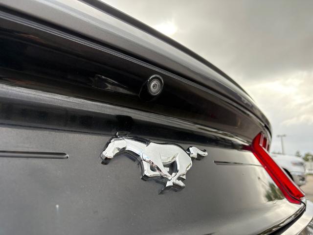 2021 Ford Mustang Vehicle Photo in Savannah, GA 31419