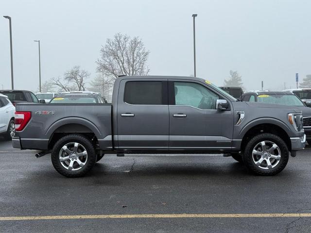 2022 Ford F-150 Vehicle Photo in COLUMBIA, MO 65203-3903