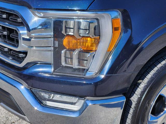 2021 Ford F-150 Vehicle Photo in DENTON, TX 76210-9321