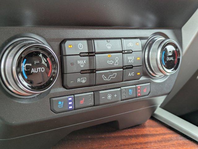 2020 Ford F-150 Vehicle Photo in BRUNSWICK, GA 31525-1881