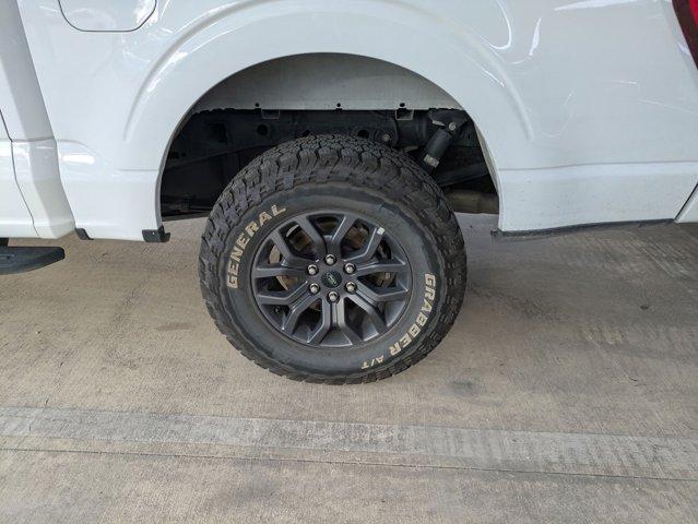 2023 Ford F-150 Vehicle Photo in SELMA, TX 78154-1459