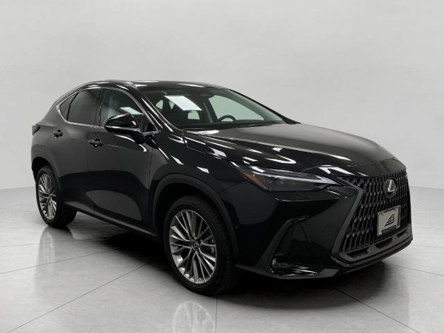 2024 Lexus NX 350h Vehicle Photo in Appleton, WI 54913