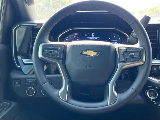 2024 Chevrolet Silverado 1500 Vehicle Photo in BEAUFORT, SC 29906-4218