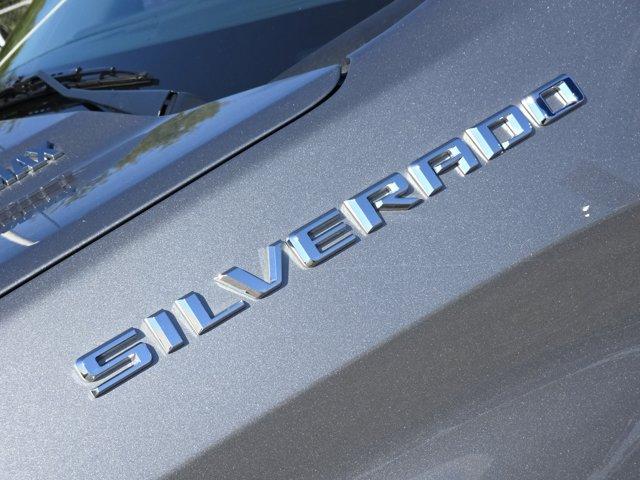 2025 Chevrolet Silverado 1500 Vehicle Photo in Decatur, TX 76234