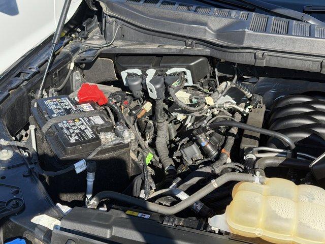 2024 Ford F-150 Vehicle Photo in LEOMINSTER, MA 01453-2952