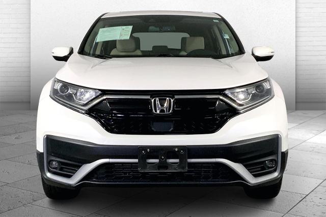 2022 Honda CR-V Vehicle Photo in KANSAS CITY, MO 64114-4502