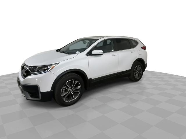 2020 Honda CR-V Vehicle Photo in GILBERT, AZ 85297-0402