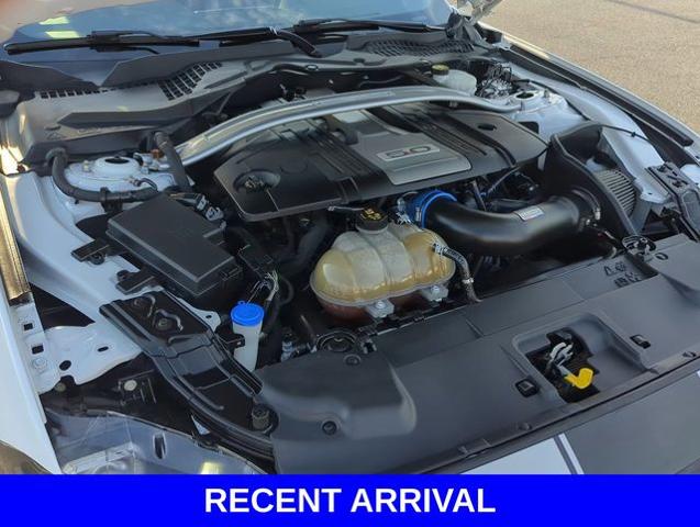 2020 Ford Mustang Vehicle Photo in Merrillville, IN 46410