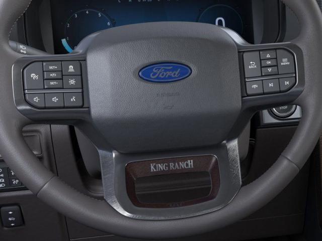 2025 Ford F-150 Vehicle Photo in Weatherford, TX 76087