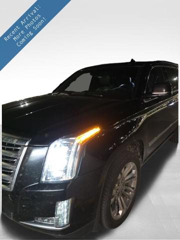 2019 Cadillac Escalade Vehicle Photo in Cedar Rapids, IA 52402